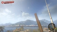 Holding the Wooden Plank in the original game
