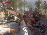 Using a Double Blade
