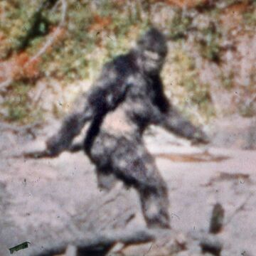 Bigfoot - Wikipedia