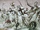 Teutonic Knights