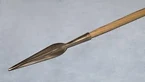 Bronze Javelin