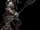 Skorge