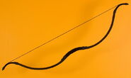 Composite Bow