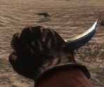 250px-Karambit Knife