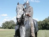 Cataphract