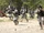 United States Army Rangers