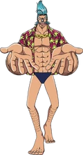 Team Member:Franky
