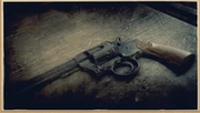 Double Action Revolver