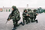 Irish Army Ranger Wing