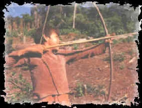 Mapuche Bow
