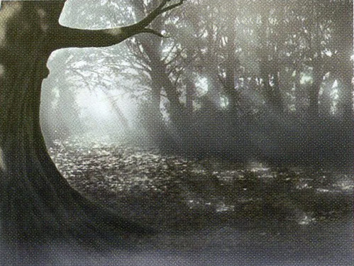 I think you get the idea now...