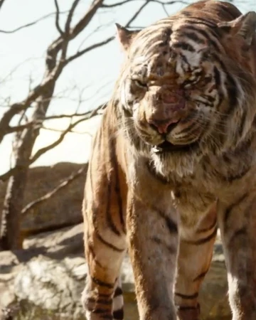 Shere Khan 2016 Film Deadliest Fiction Wiki Fandom The jungle book is reinvented for 2016 by a director who knows just how to mix the heavy blows with the light touch. shere khan 2016 film deadliest