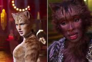 Cats oh god why.jpg