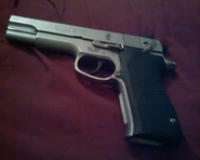 S&W Pistol