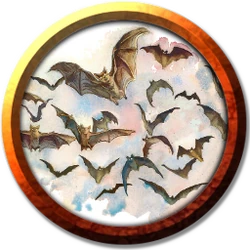 Swarm of Bats