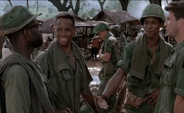 101st Airborne Screaming Eagles