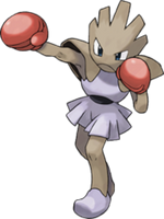 Hitmonchan