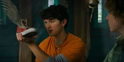 It's hard getting images for a book so I'll just say watch the Percy jackson and the Olympians television show on Disney+