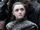 Arya Stark (TV Series)