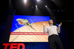 Bill-gates-at-ted.jpg