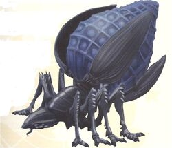 Plasma bug.jpg