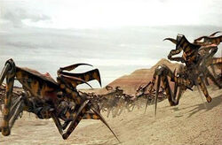 Starship Troopers Arachnids.jpg