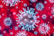 Corona-virus.jpg