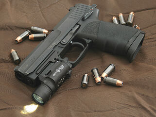 HK USP 45 surrounded by 