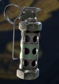 Stun Grenade (R6S0