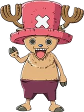 Team Member:Tony Tony Chopper
