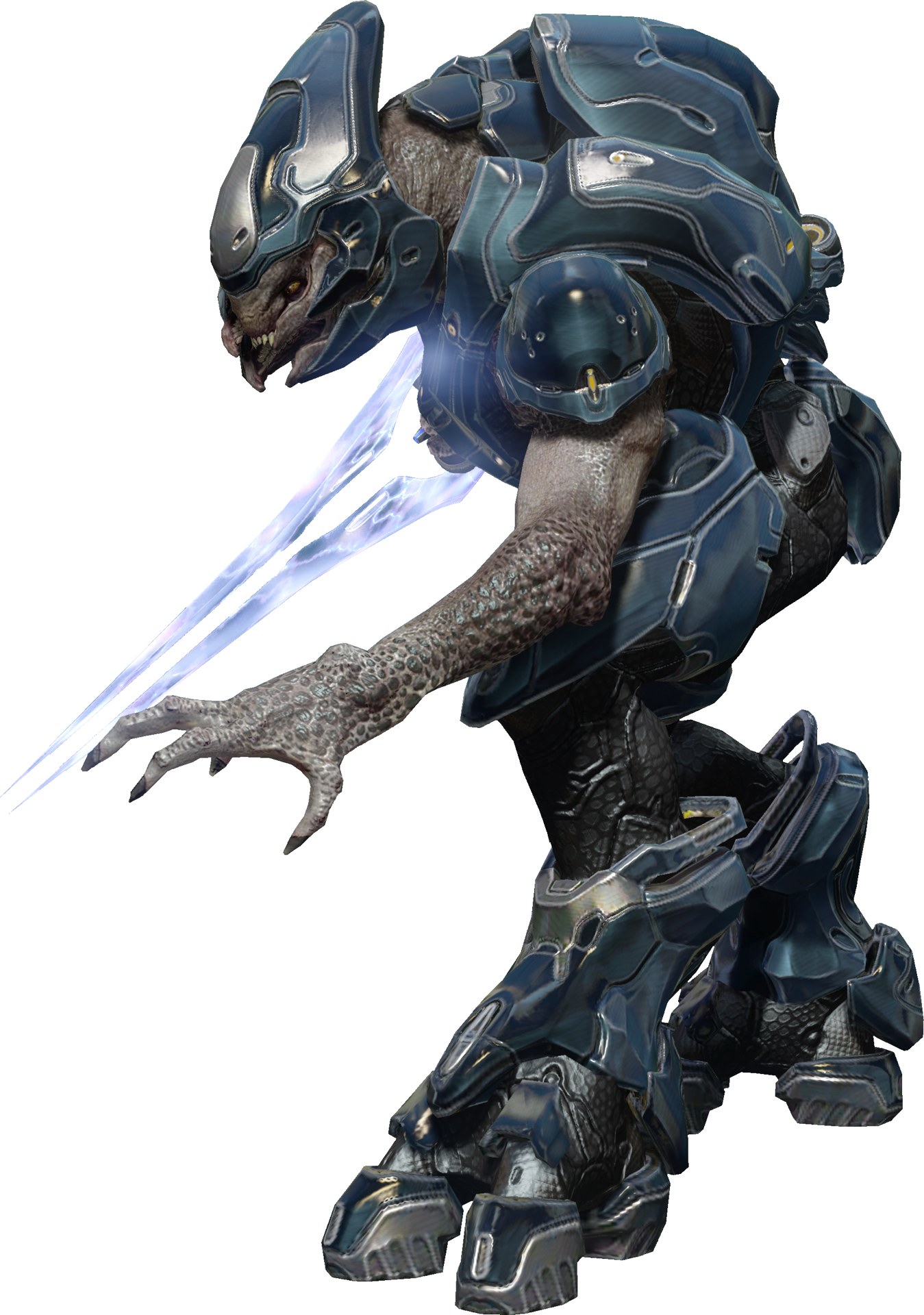 the covenant races halo