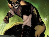 Wolverine (Comics)