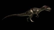 Allosaurus