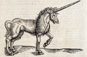 Unicorn.jpg