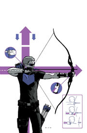 Hawkeye 2012 2.jpg
