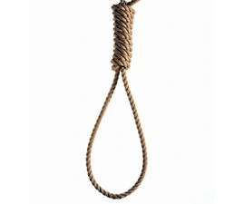 Noose