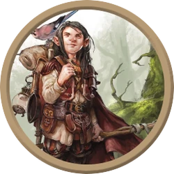 Druid Halfling Male