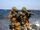 Commandos Marine/Bio & Battles