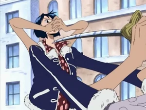 Hana Hana no Mi's power used in battle