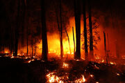 Australia-wildfires.jpg