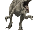 Atrociraptor