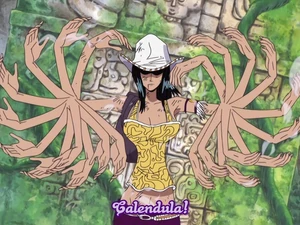 Robin's Veinte Fleur technique