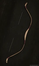 Composite Bow