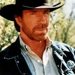 Chuck Norris Deadliest Jokes Wiki Fandom