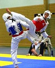 Taekwondo