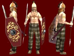 Celtic warrior …  Celtic warriors, Gaul warrior, Celtic clothing