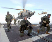 Seals-fast-rope.jpg