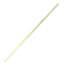 Staff2.jpg