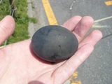 Black Egg