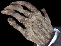 Zombie Hands.jpg